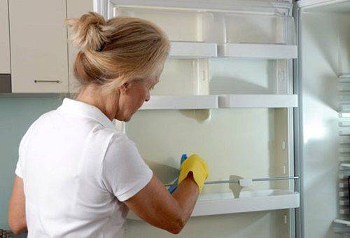 Виды и особенности поглотителей запаха в холодильнике